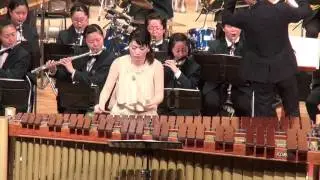 Concerto for Percussion Solo & Wind Ensemble by Gary D. Ziek
