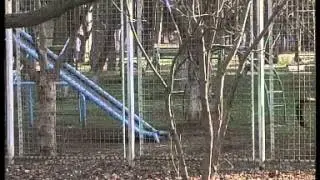 Итоговый выпуск службы новостей 