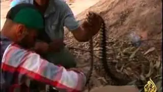 قوات الناتو تواصل قصف طرابلس وضواحيها