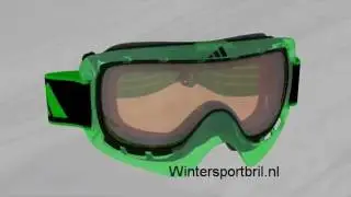 Adidas ID2 Pro AllWeather skigoggle
