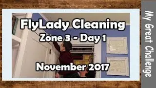 FlyLady Cleaning || Zone 3 - Day 1 || November 2017
