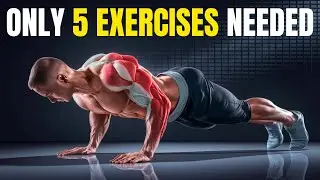 The Only 5 Bodyweight Exercises You Need for Serious Muscle Gains at Home  (No Equipment Needed!)