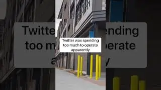 Twitter plant rescue December 2022 (Boulder, Colorado)