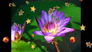 Ben Selvin - Honey