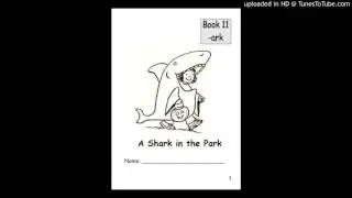 TLA Top to Bottom Phonics B - Book 11 (story)