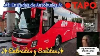 Entradas y Salidas | Capitulo 1 | Entradas a México TAPO