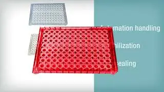 Thermo Scientific&trade; Armadillo&trade; PCR Strip Plates