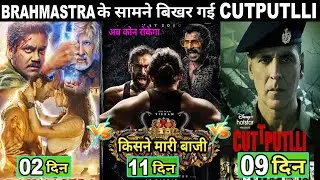 brahmastra box office collection | kathputli box office collection worldwide | cobra box office