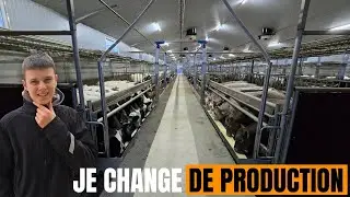 Plantation et Veaux de Boucherie !