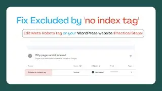 How to fix excluded by &lsquo;noindex&rsquo; tag and edit meta robots tag in Wordpress website practical steps
