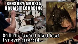 SENSORY AMUSIA  - 