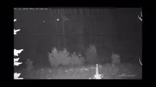 Orbs captured on IR overwatch camera. Lights didn&rsquo;t appear on Thermal camera 