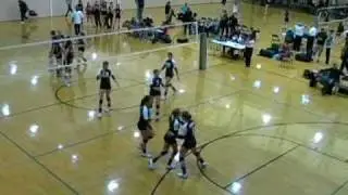 Lauren Chapman #17