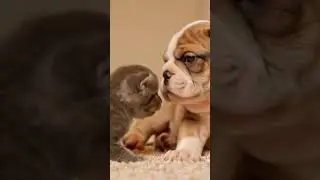 #BullyDog#BabyBulldog#AnimatedDog#CuteButTough#CartoonPup#FunnyDogAnimation#DogReels#PuppyAttitude#P