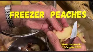 FREEZER  PEACHES : Food Preservation