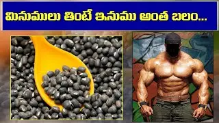 మినుములు తింటే ఇనుము అంత బలం | Benfits Of Minumulu  || Arogya Balam