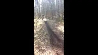 Yamaha Dt 125; 170ccm; Athena & Monster Energy