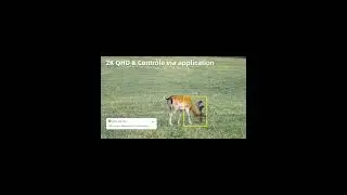 Xega 4G Cam&eacute;ra de Chasse Solaire ,Surveillance sans Fil de la Faune,Nocturne Infrarouge Invisible