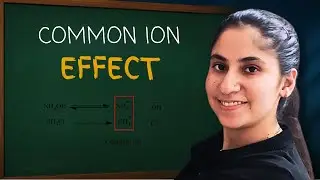 What is Common Ion Effect? || Explanation With Example || Class 11