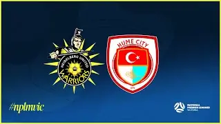2024 NPLMVIC FINALS: Heidelberg United FC v Hume City FC