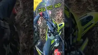 MXF 250 TSX
