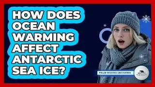 How Does Ocean Warming Affect Antarctic Sea Ice?