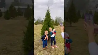 🎄Christmas Tree farm family fun! Tree cut down and decorated #Christmas