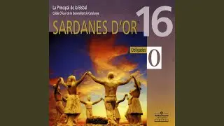Vora el niu
