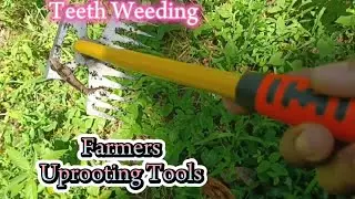 FARMERS UPROOTING TOOLS | TEETH WEEDING | VERY USEFUL