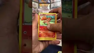 Should I Open it? Or Should I Keep it Sealed? - Episode 16 - XY Primal Clash #pokemontcg