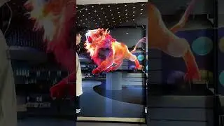 Lion 9pcs splicing model #lion #animal #3d #holographic #ledfan #fyp