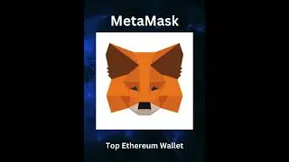 Best 5 Hot Wallets in 2025