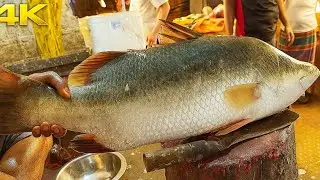 USA Big Fish Cutting ASMR | Traditional Market Style | Relaxing & Satisfying Fish Cutting Add Video