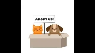 How Do I Help in a Local Dog Shelter