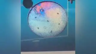 Zeb Horizon  | Laser Scanner