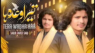 Tera Wadha Haa (Official Video) Saqib javed Saqi New Song 2025