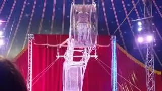 American circus 2017