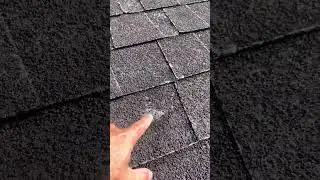 🚨 **Signs That the Life Expectancy of Your Shingle Roof is Over!** 🚨