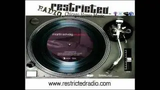 Martin Solveig feat. Lee Fields - Jealousy [Junior Jack Remix]