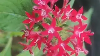 നന്ദിനി സൂര്യഅടിച്ചു പിരിക്കാൻ പത്മ കണ്ടെത്തിയ ആ താക്കോൽ പ്രയോഗം പത്മക്ക് തന്നെ തിരിച്ചടി..