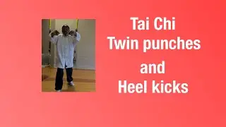 Heel kicks and twin punch
