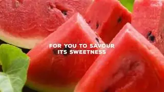 Everyday Fresh - Watermelon