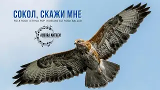 Сокол, скажи мне | Sokol, Tell Me | Folk Rock | Ethno Pop | Russian Alt Rock Ballad
