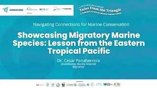 Showcasing Migratory Marine Species: Lessons from the Eastern Tropical Pacific