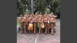 Alegría