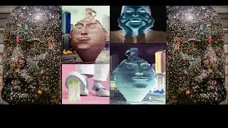 | 