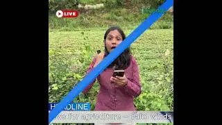 Earn BigCoins & cashback like never before | BigLoot Mela
