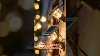 SUSTAINABLE SOLAR LIGHT DEMO: See the Winter Garden Setup! ♻️
