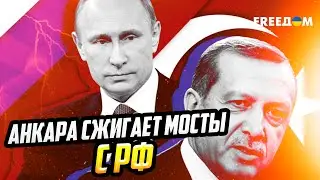 РОССИЯ, ПРОЩАЙ! Партнер по 