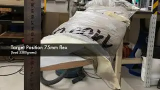 Wing load test